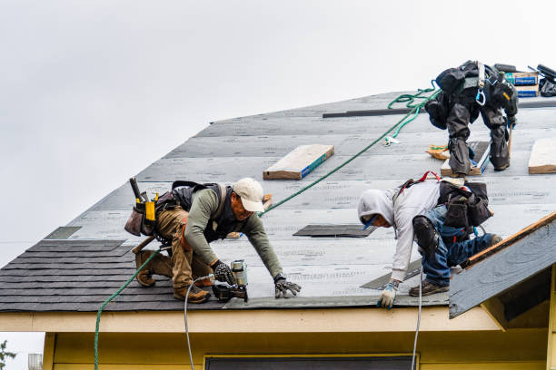 Professional Gutter Installation technician working in Gray, LA